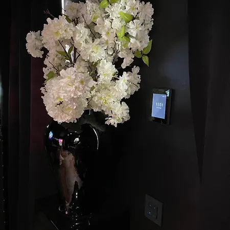 Loveroom Dublin
